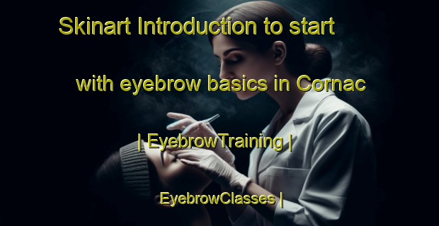 Skinart Introduction to start with eyebrow basics in Cornac | EyebrowTraining | EyebrowClasses | SkinartTraining-France